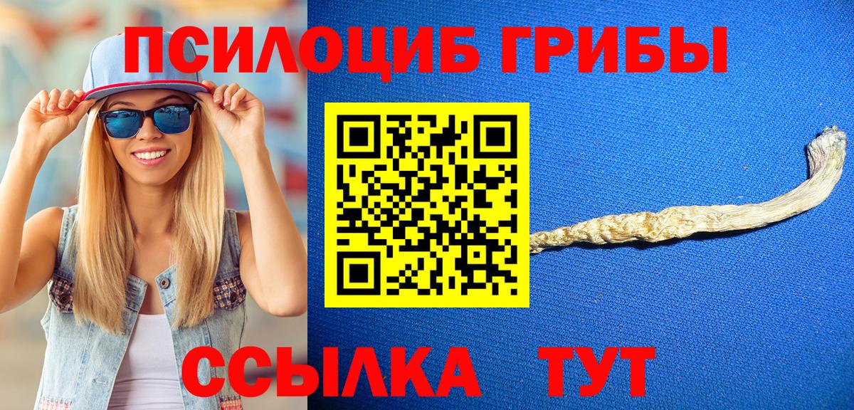 Галлюциногенные грибы мицелий Славгород