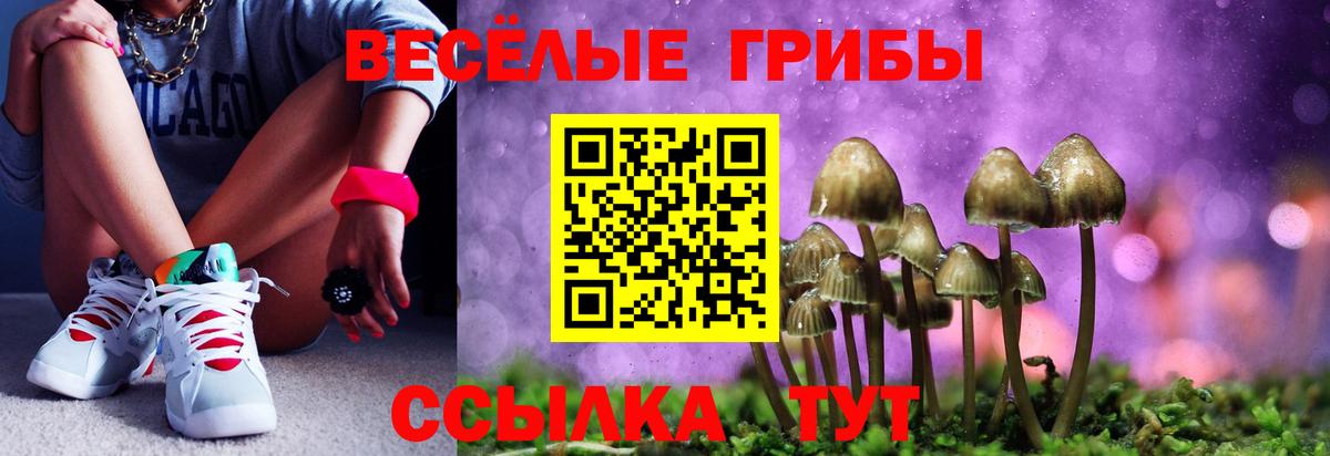 Псилоцибиновые грибы мухоморы  Галлюциногенные грибы Psilocybe  как найти закладки  Вход с VPN  Славгород 