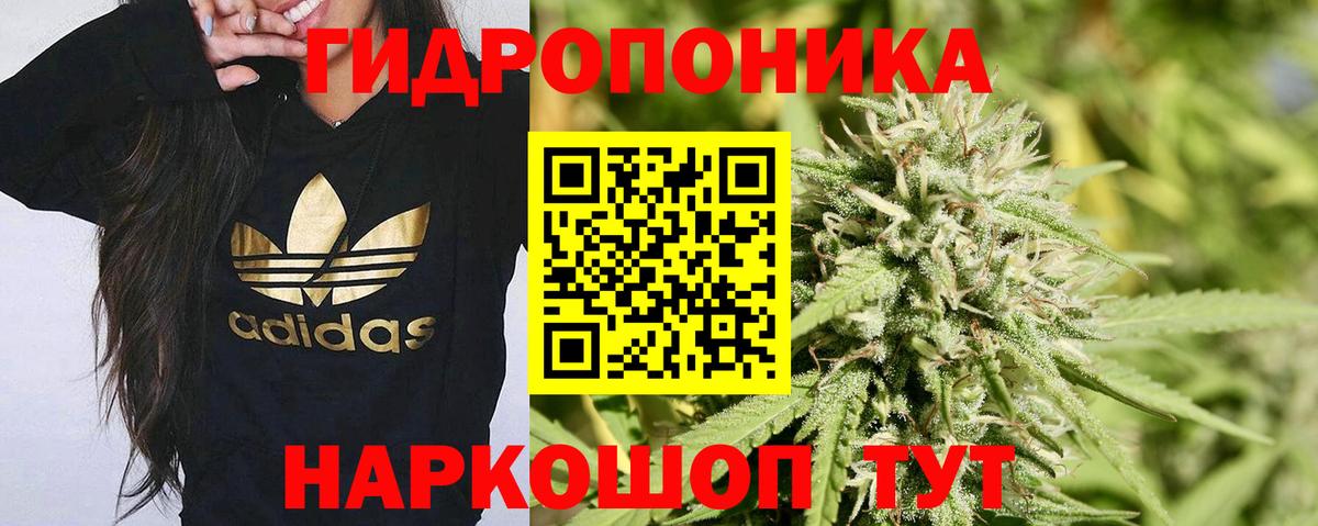 Бошки Шишки ГИДРОПОН  Бошки Шишки планчик  Славгород  Вход с VPN  МАРИХУАНА AK-47 